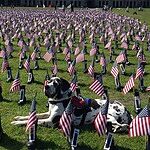 Image of Review by Lynn H. on 5 Mar 2020 number 1