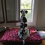 Image of Review by Lynn H. on 5 Mar 2020 number 2