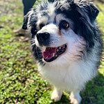 Image of Review by Michele R. on 6 Mar 2020 number 1