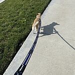 Image of Review by Vincent P. on 11 Mar 2020 number 1