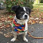 Image of Review by Nancy P. on 12 Mar 2020 number 1
