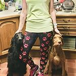 Image of Review by Lisa C. on 13 Mar 2020 number 1