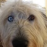 Image of Review by Debbie P. on 15 Mar 2020 number 1