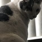 Image of Review by Susan B. on 18 Mar 2020 number 1