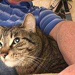 Image of Review by Michael B. on 22 Mar 2020 number 1