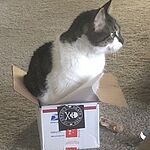 Image of Review by Laura B. on 22 Mar 2020 number 1