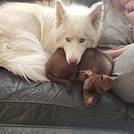 Image of Review by Natalie B. on 23 Mar 2020 number 1