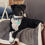 Image of Review by Gail R. on 24 Mar 2020 number 2