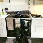 Image of Review by Mrs l. on 27 Mar 2020 number 2