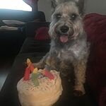 Image of Review by Nicole C. on 30 Mar 2020 number 1