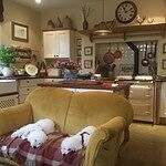 Image of Review by Kathy C. on 6 Apr 2020 number 3