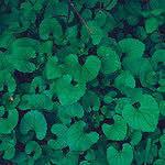 Image of Review by Jessica T. on 6 Apr 2020 number 1