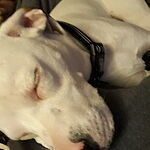 Image of Review by Erica C. on 14 Apr 2020 number 1
