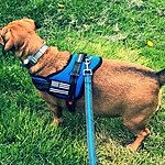 Image of Review by Gail L. on 14 Apr 2020 number 1