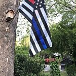 Image of Review by Jordan F. on 16 Apr 2020 number 1