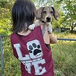 Image of Review by Tamara H. on 9 Oct 2019 number 1