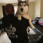 Image of Review by Jennifer O. on 19 Apr 2019 number 1