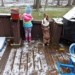 Image of Review by Brenna C. on 16 Apr 2020 number 1