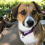 Image of Review by Susan J. on 16 Apr 2020 number 1