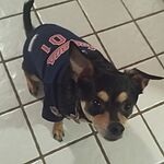 Image of Review by Keith T. on 30 Apr 2020 number 1