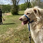 Image of Review by Kyoko M. on 4 May 2020 number 1