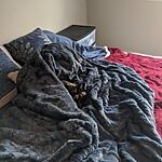 Image of Review by Heather F. on 5 May 2020 number 1