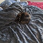 Image of Review by Heather F. on 5 May 2020 number 2