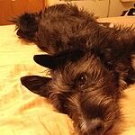 Image of Review by Trasie W. on 6 May 2020 number 1