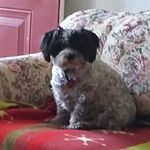 Image of Review by Martine L. on 6 May 2020 number 1