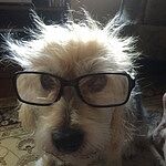 Image of Review by Diane W. on 8 May 2020 number 1