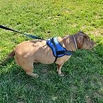 Image of Review by Jason L. on 12 May 2020 number 1