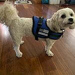 Image of Review by Daniel R. on 15 May 2020 number 1
