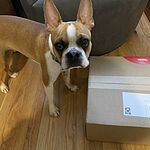 Image of Review by Rebecca P. on 17 May 2020 number 1