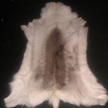 Scandinavian Reindeer Skin, Indoor It doesn't have the front