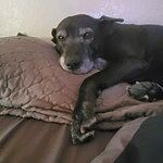 Image of Review by Jennifer F. on 23 May 2020 number 1