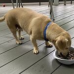 Image of Review by Elizabeth G. on 25 May 2020 number 1