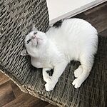 Image of Review by Tina L. on 29 May 2020 number 2