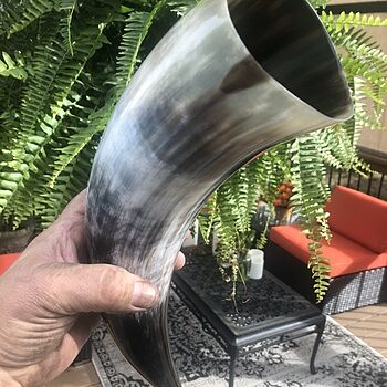 Drinking Horn, XL Excellent