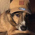 Image of Review by Heather M. on 29 May 2020 number 1