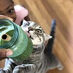 Image of Review by Ashley W. on 3 Jun 2020 number 2