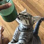 Image of Review by Ashley W. on 3 Jun 2020 number 3