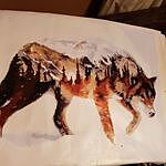 Image of Review by Michelle M. on 25 Oct 2019 number 1