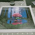 Image of Review by Lisa R. on 26 May 2020 number 1