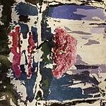 Image of Review by Kelsey H. on 2 Sep 2019 number 1