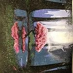 Image of Review by Stephanie M. on 20 Dec 2019 number 1