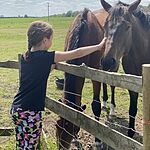 Image of Review by Kerrie S. on 6 Jun 2020 number 1