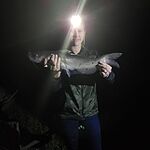 Image of Review by Felicia W. on 8 Jun 2020 number 1