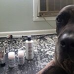 Image of Review by Carric on 11 Mar 2020 number 1