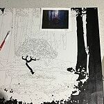 Image of Review by Donna W. on 9 Jun 2020 number 1