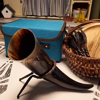 Drinking Horn, Large Beautiful